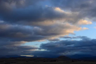 DSC_2957 (Large).JPG